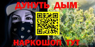 гидра Кизилюрт