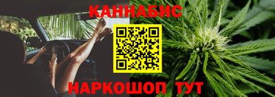 гидра Кизилюрт