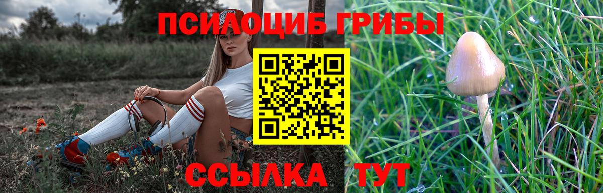 Мытищи  Галлюциногенные грибы MAGIC MUSHROOMS  Вход с VPN  Галлюциногенные грибы прущие грибы 